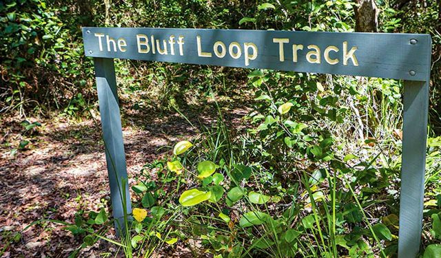 Bluff Loop Walking Track