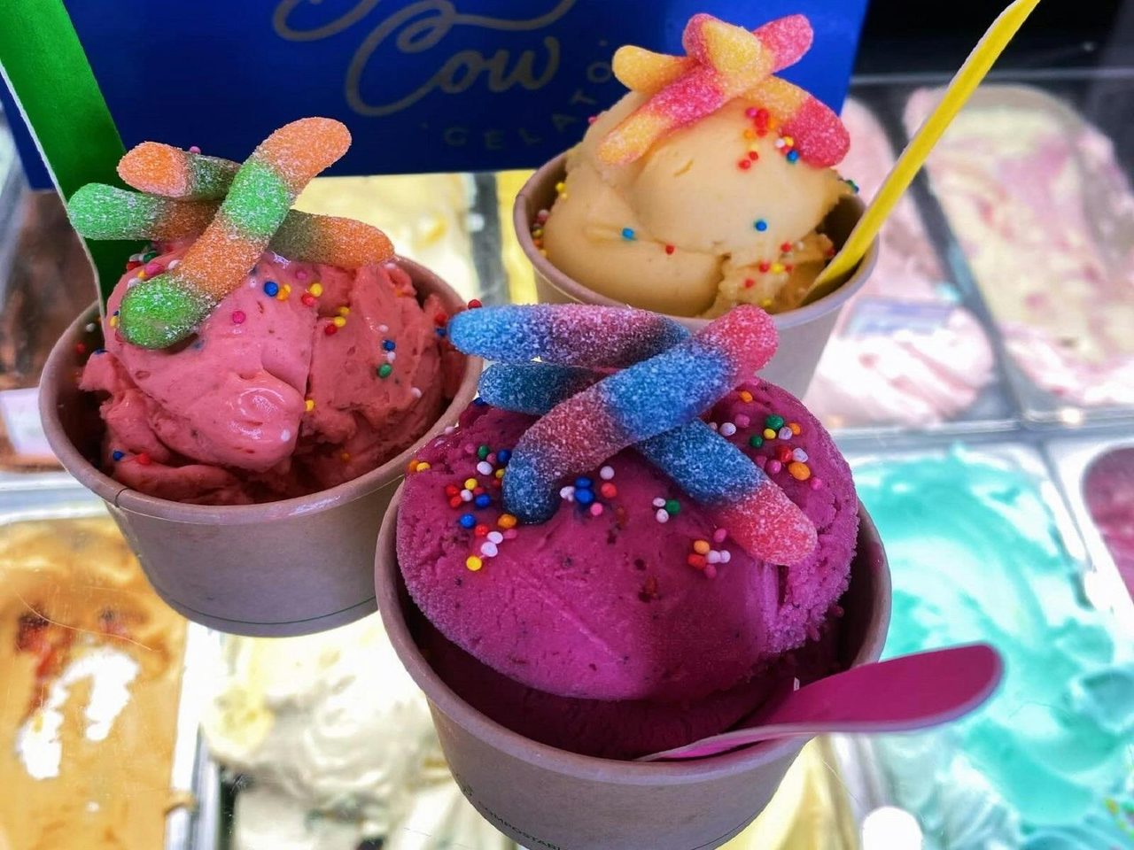 Blue Cow Gelato