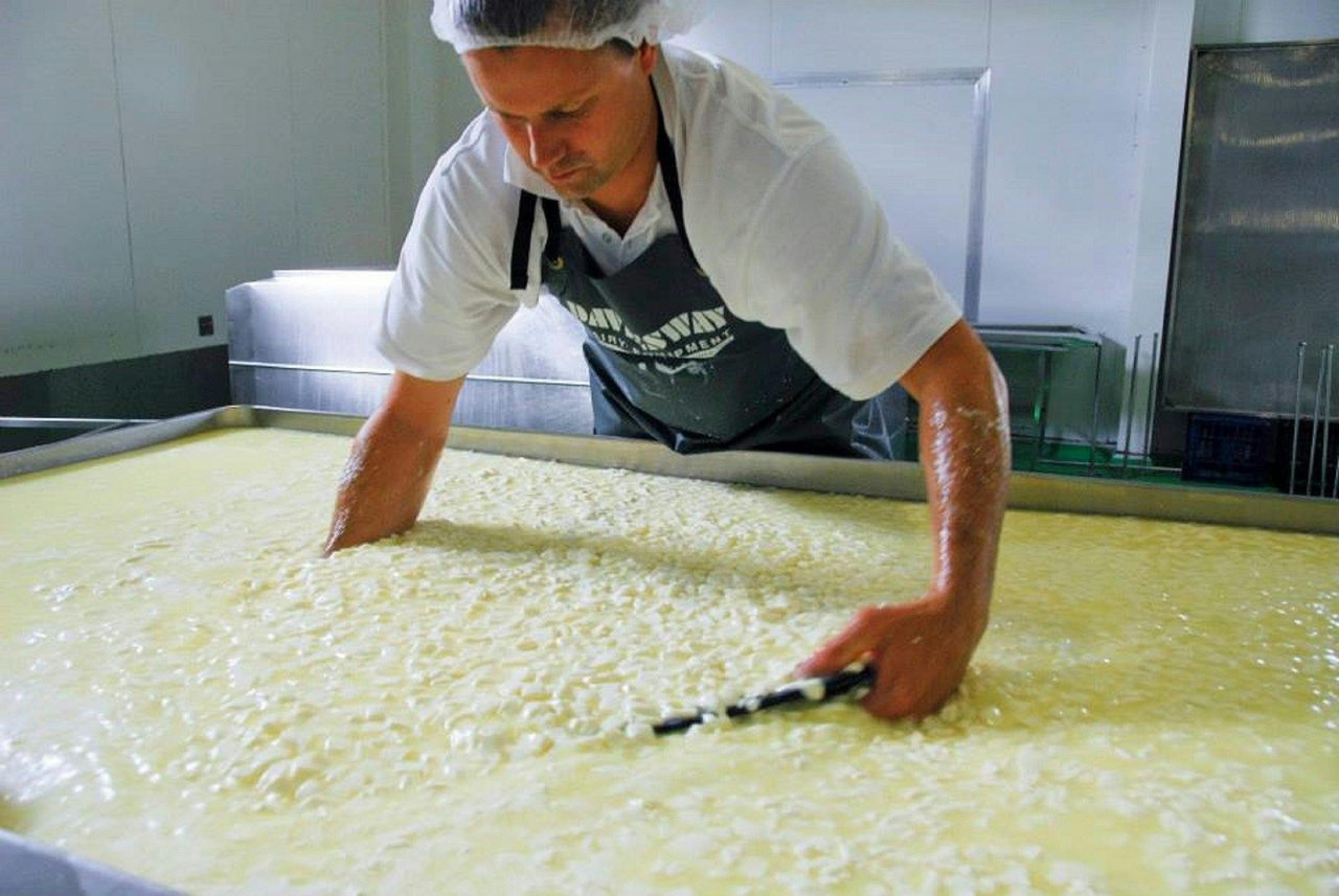 Curd stirring