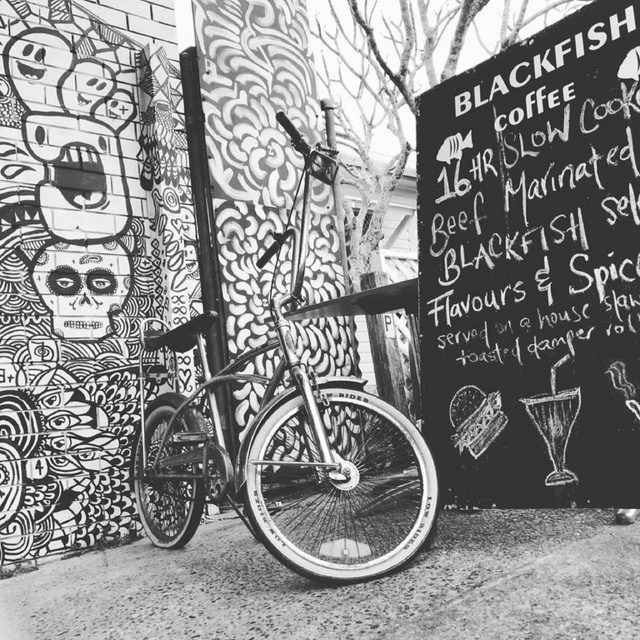 Blackfish Cafe Crescent Head