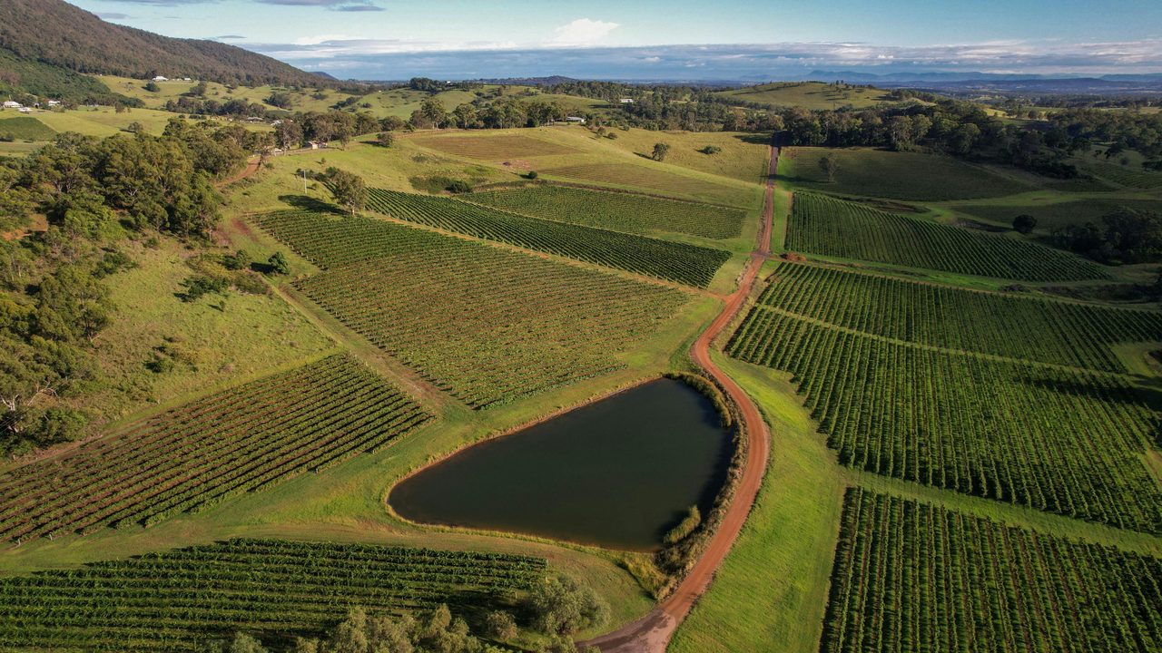 Vineyards