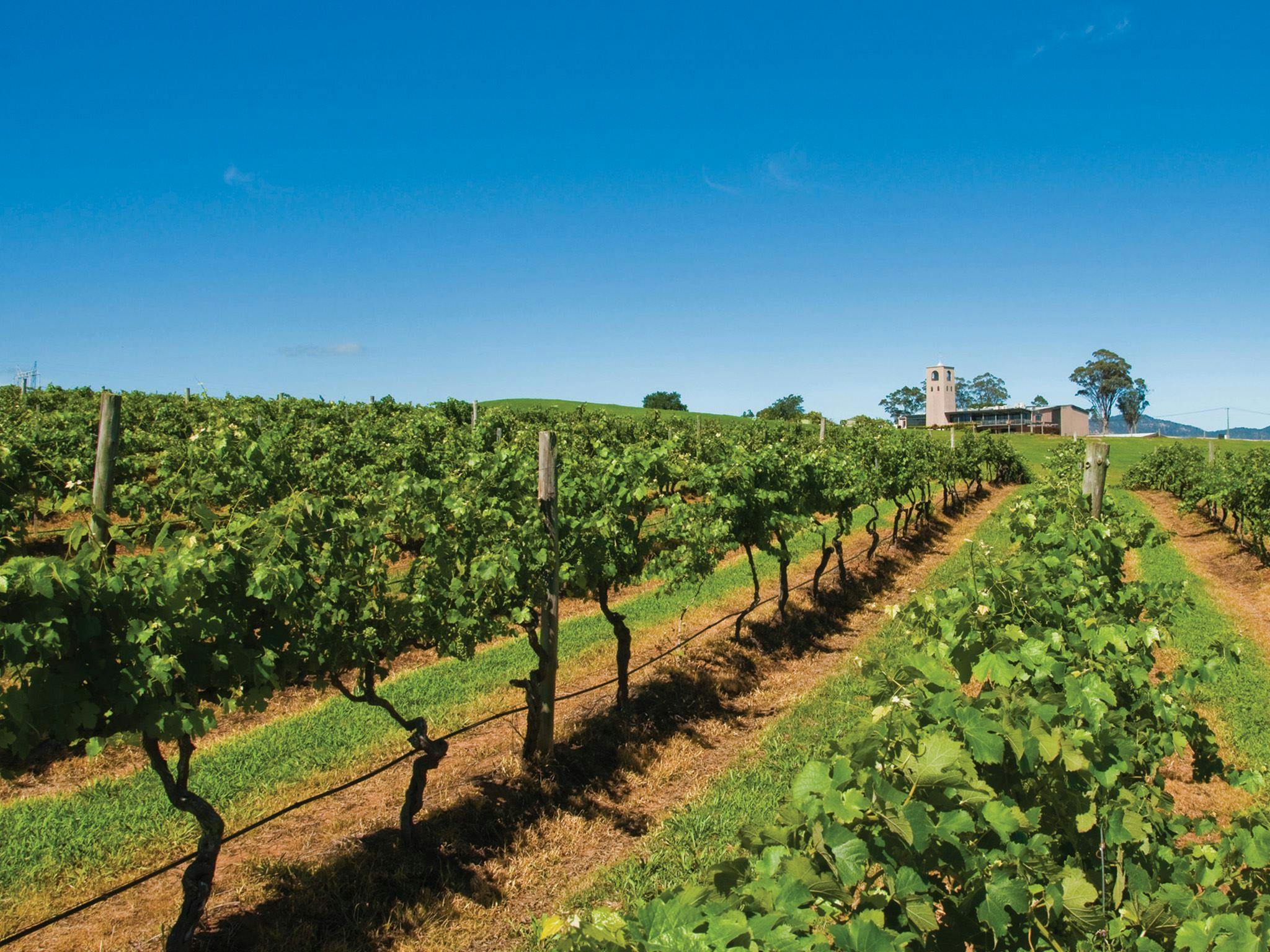 Bimbadgen Vineyard and Winery