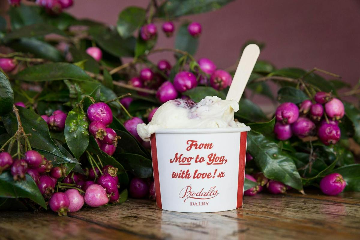 Bush Berry Cheesecake