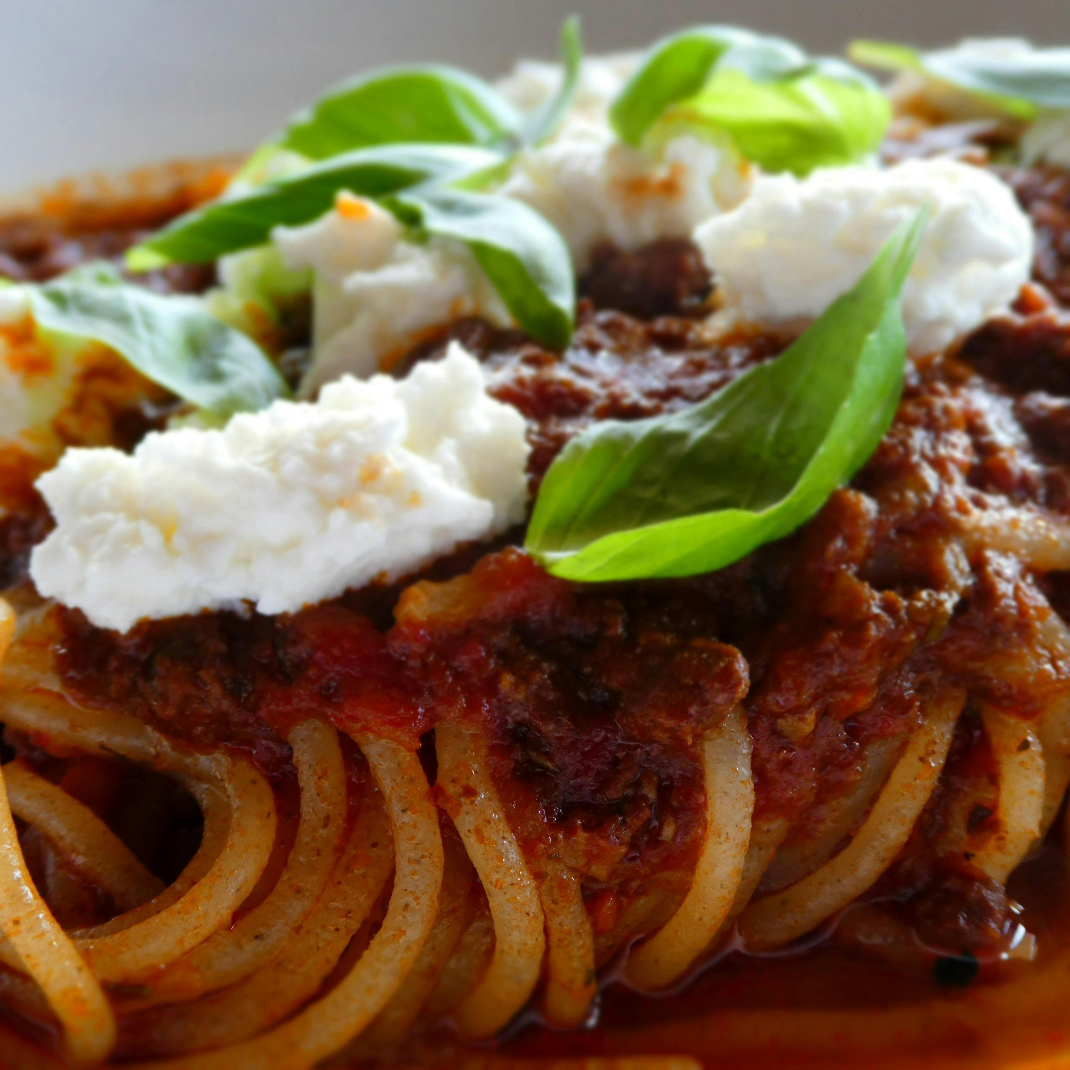 Spaghetti Bolognese, ricotta, basil