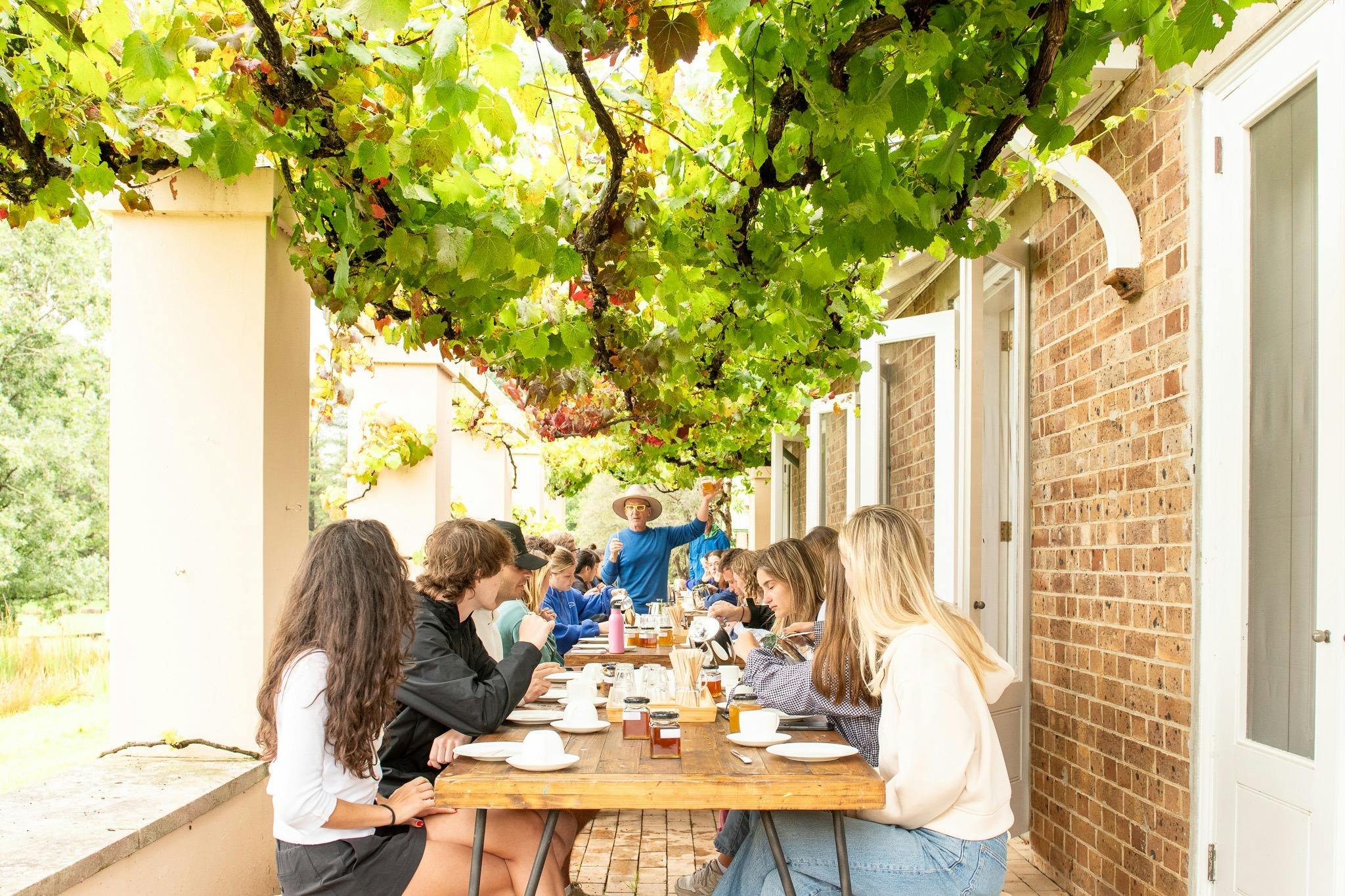 Honey Tasting on the terrace
