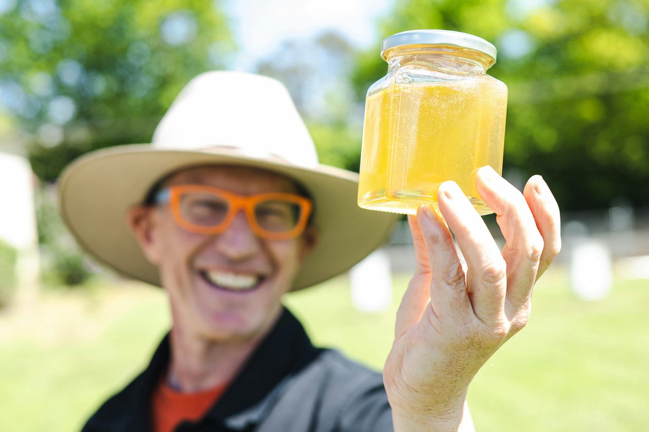 Fresh Raw Local Honey