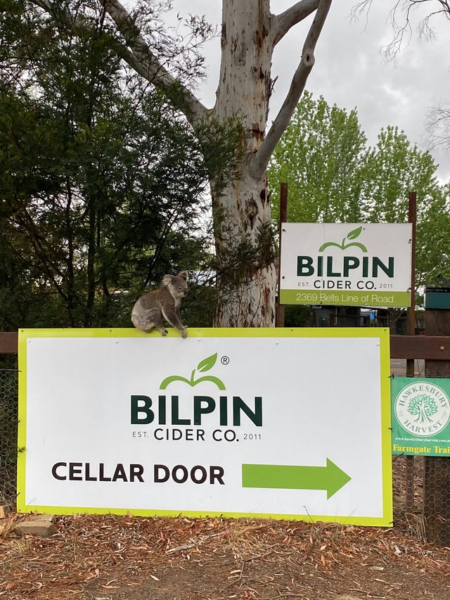 Bilpin Cider Co