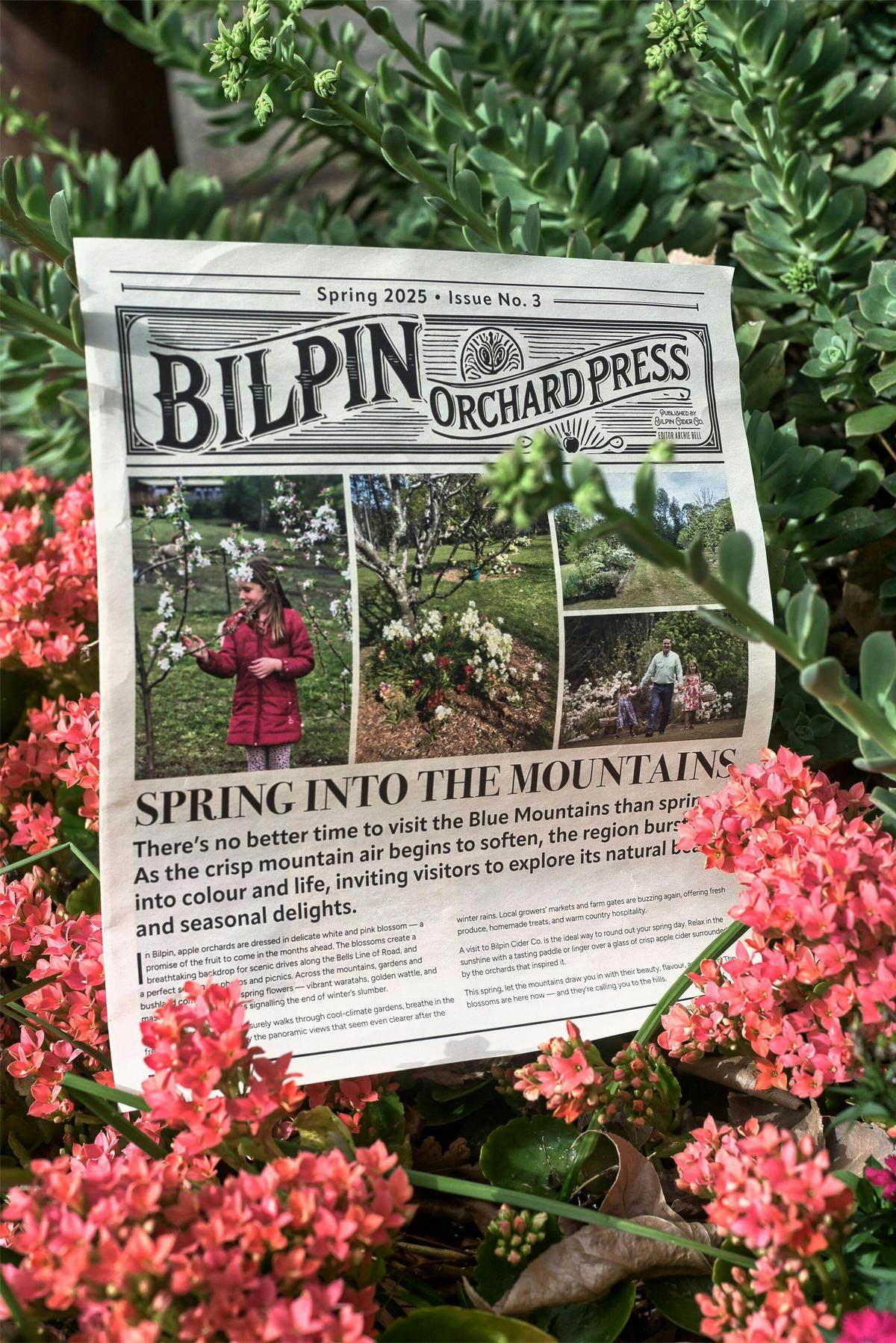 Bilpin Orchard Press