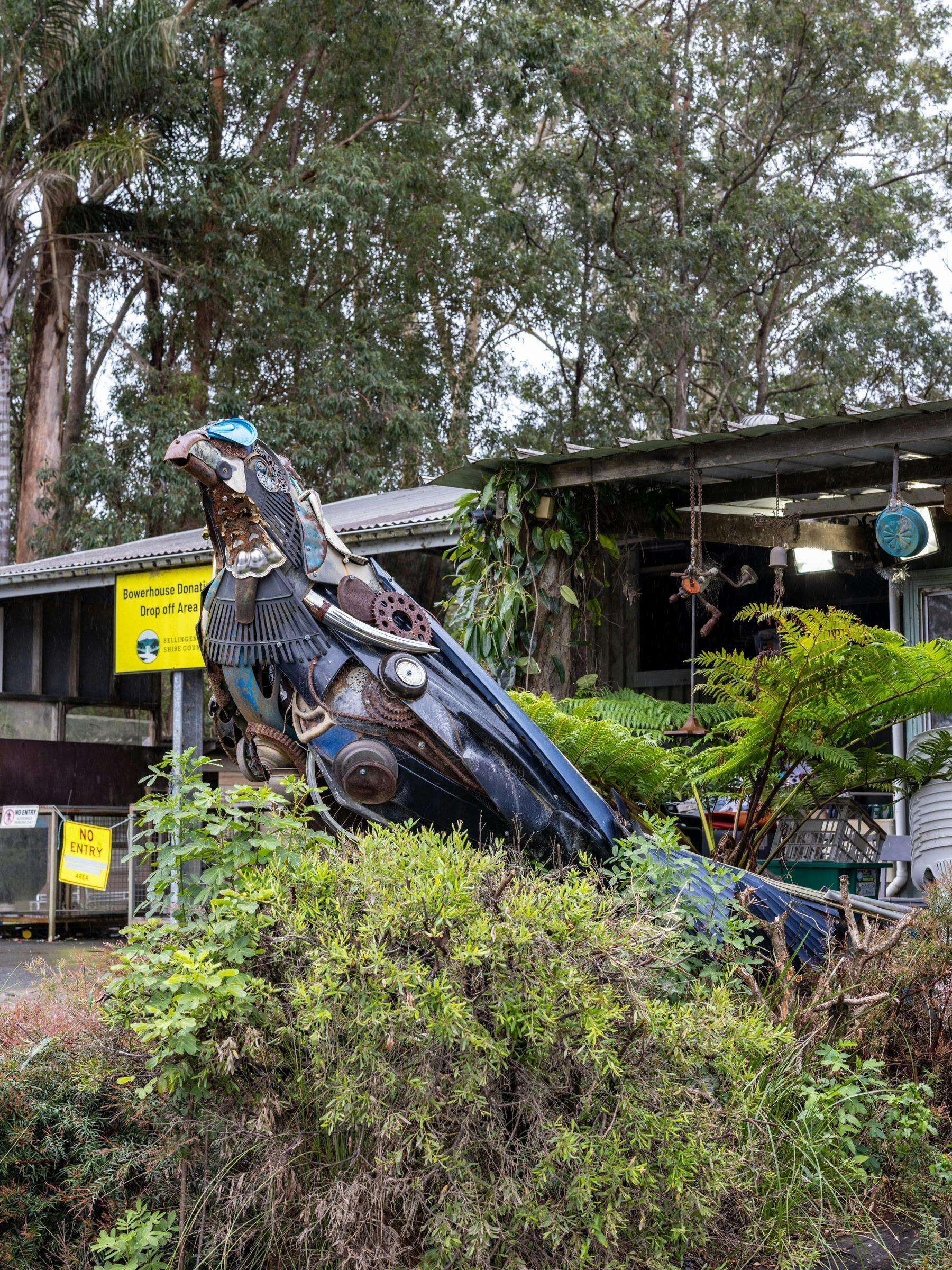 Bower Bird at the Bowerhouse