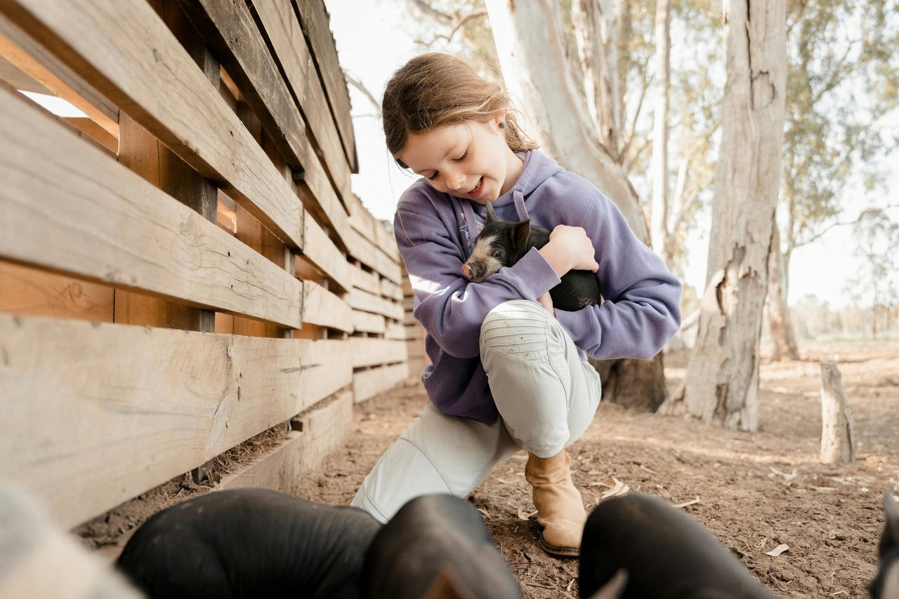 Bundarra Berskhires Barham Farm Tours