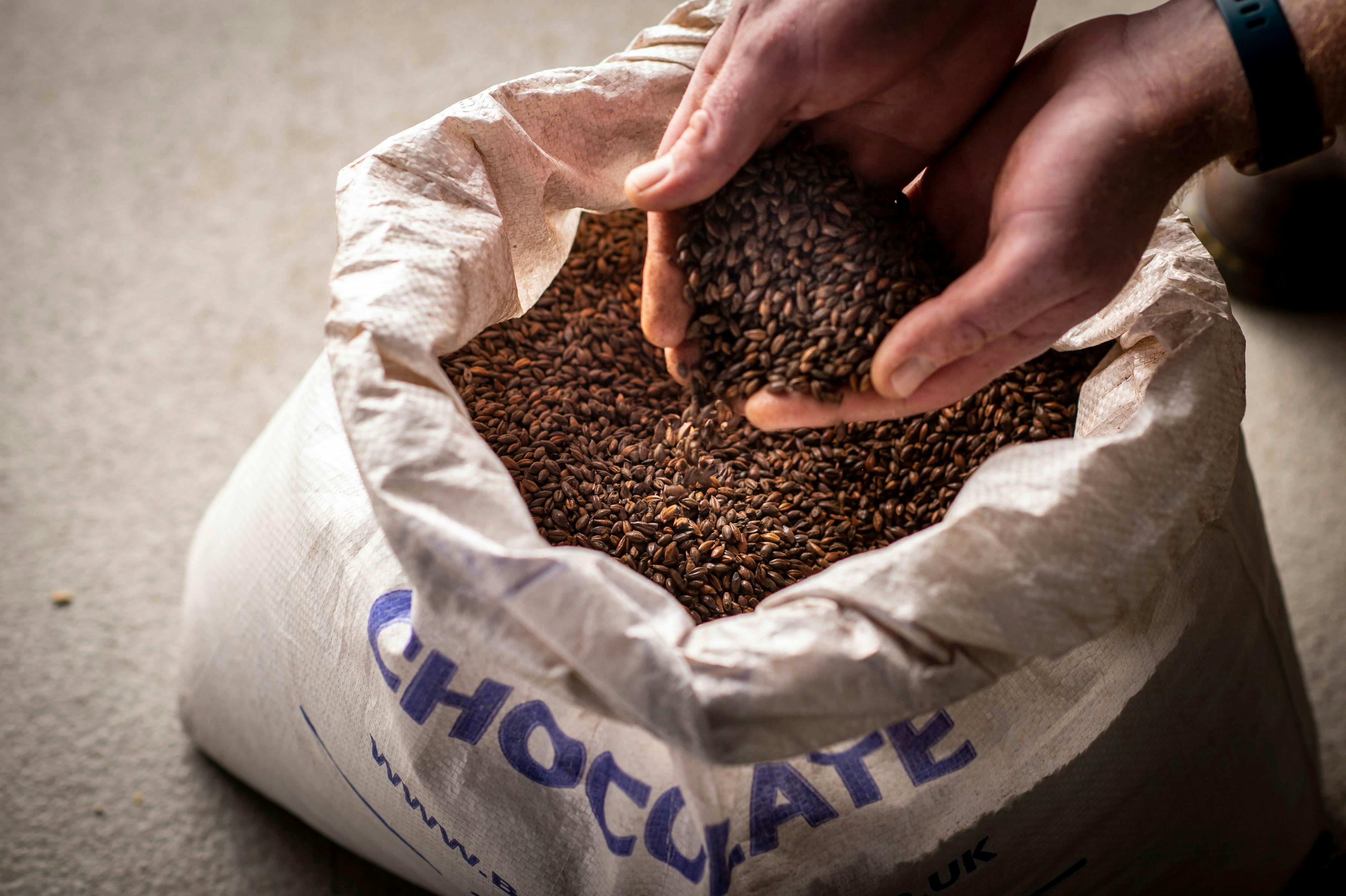 FogHorn Brewery, Newcastle