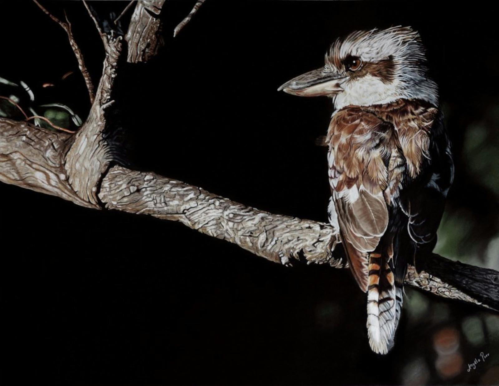Bingara Gallery Kookaburra Painting