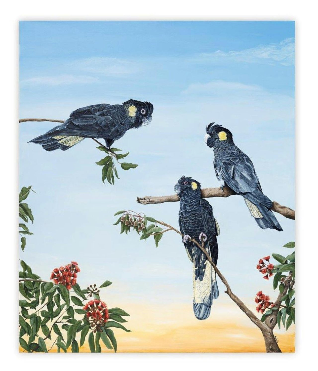 Black Cockatoo Painting Bingara Gallery
