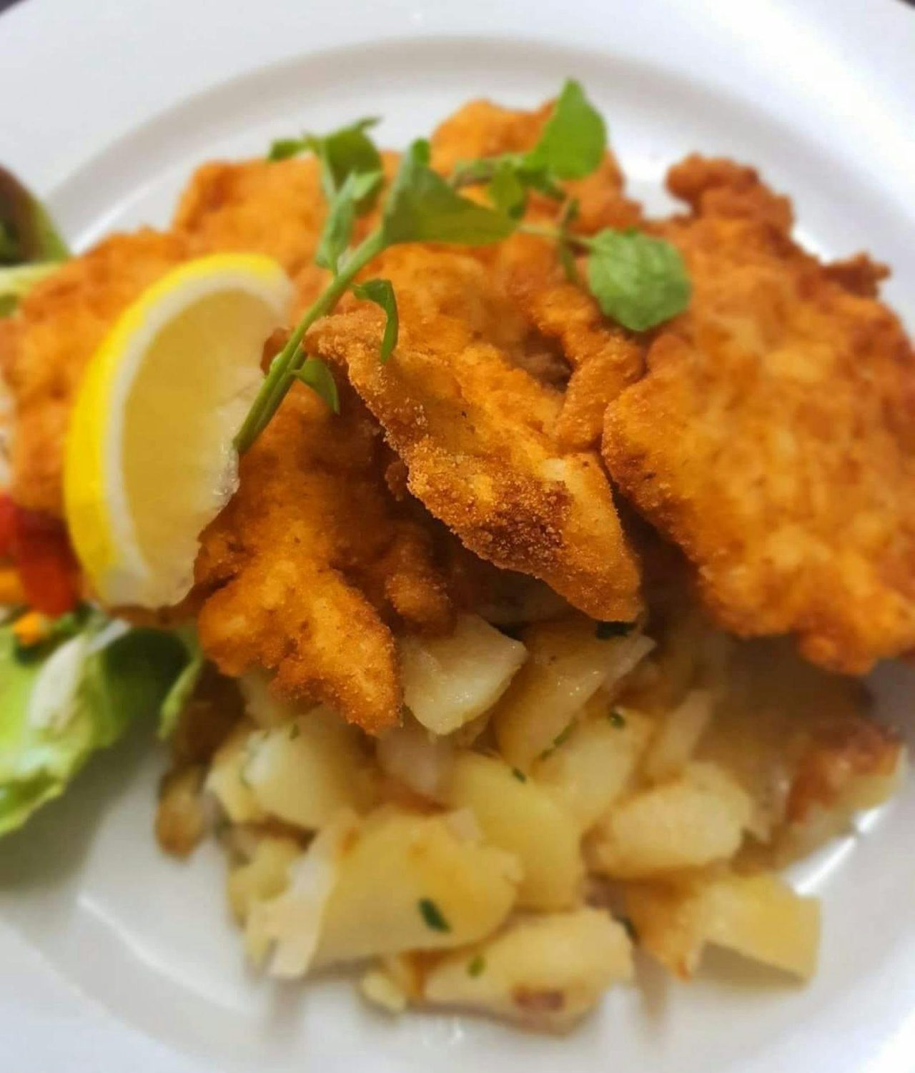 Bohemian Euro Schnitzel