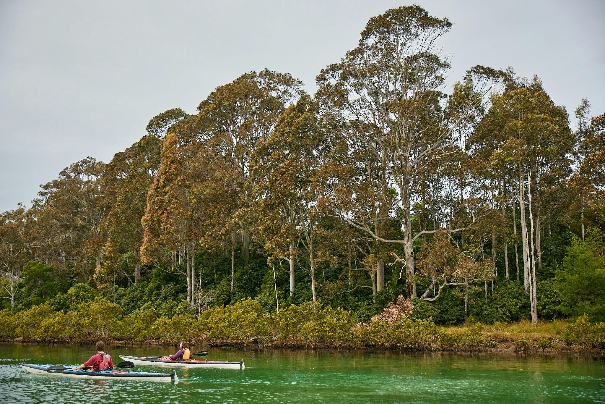 Navigate Expeditions kayak tour, Bermagui River