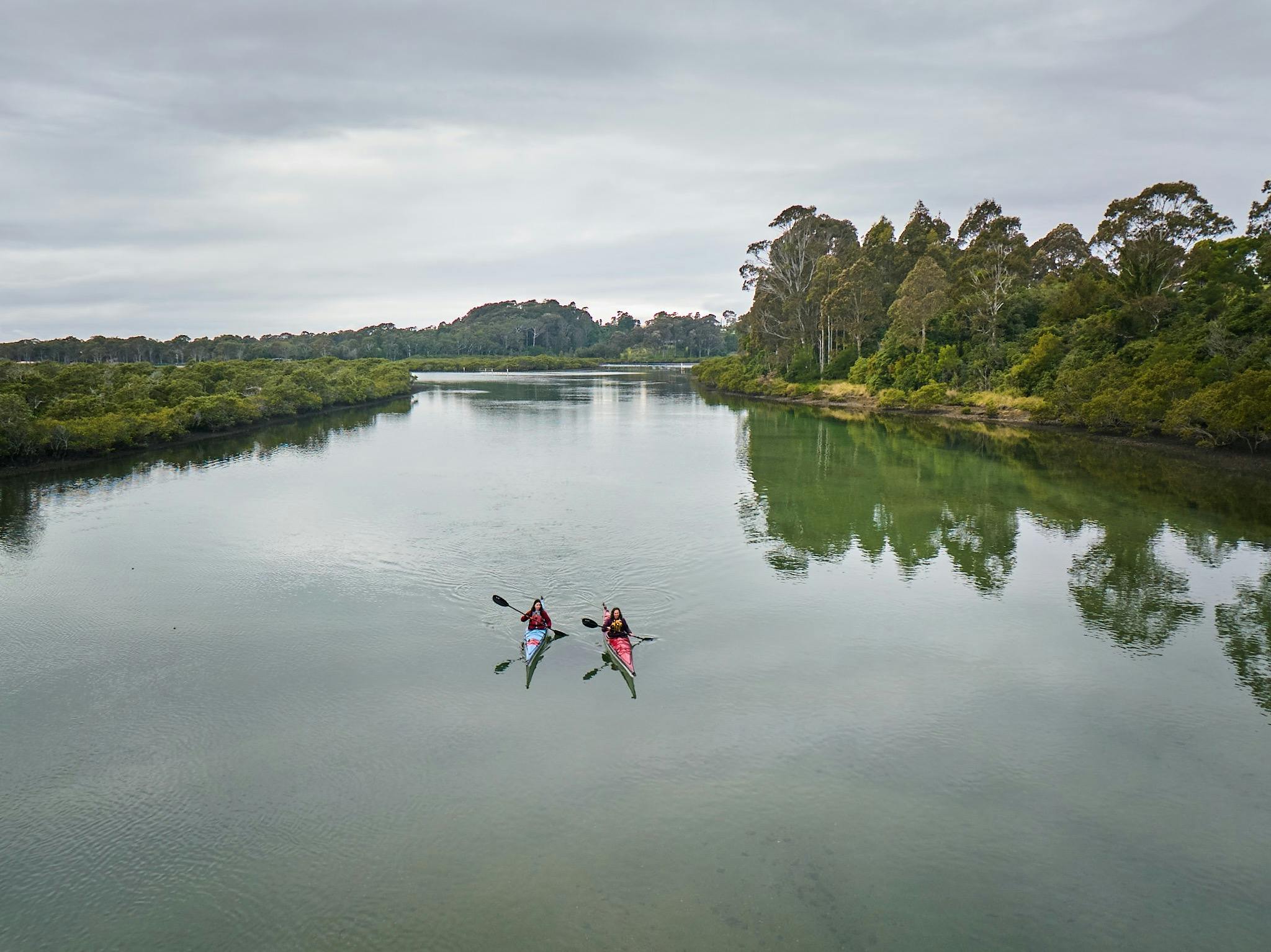 Navigate Expeditions kayak tour, Bermagui River