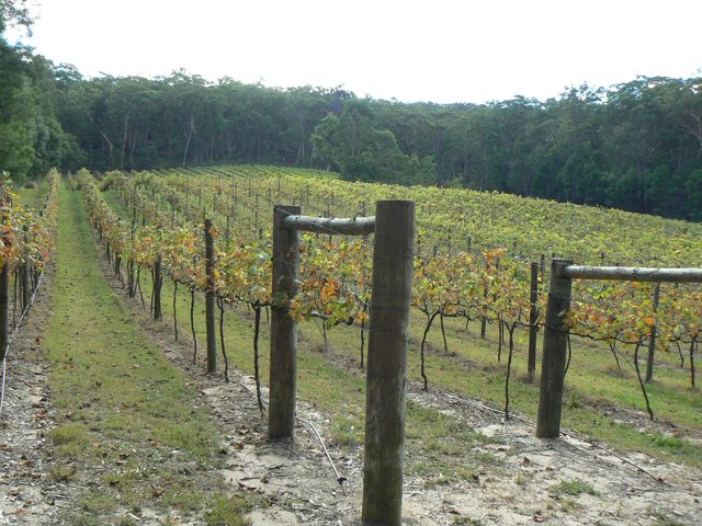 Bull Ridge Estate Wines