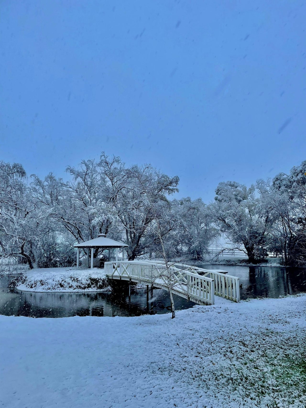 Snow surprise at Byrne Farm in winter 2021
