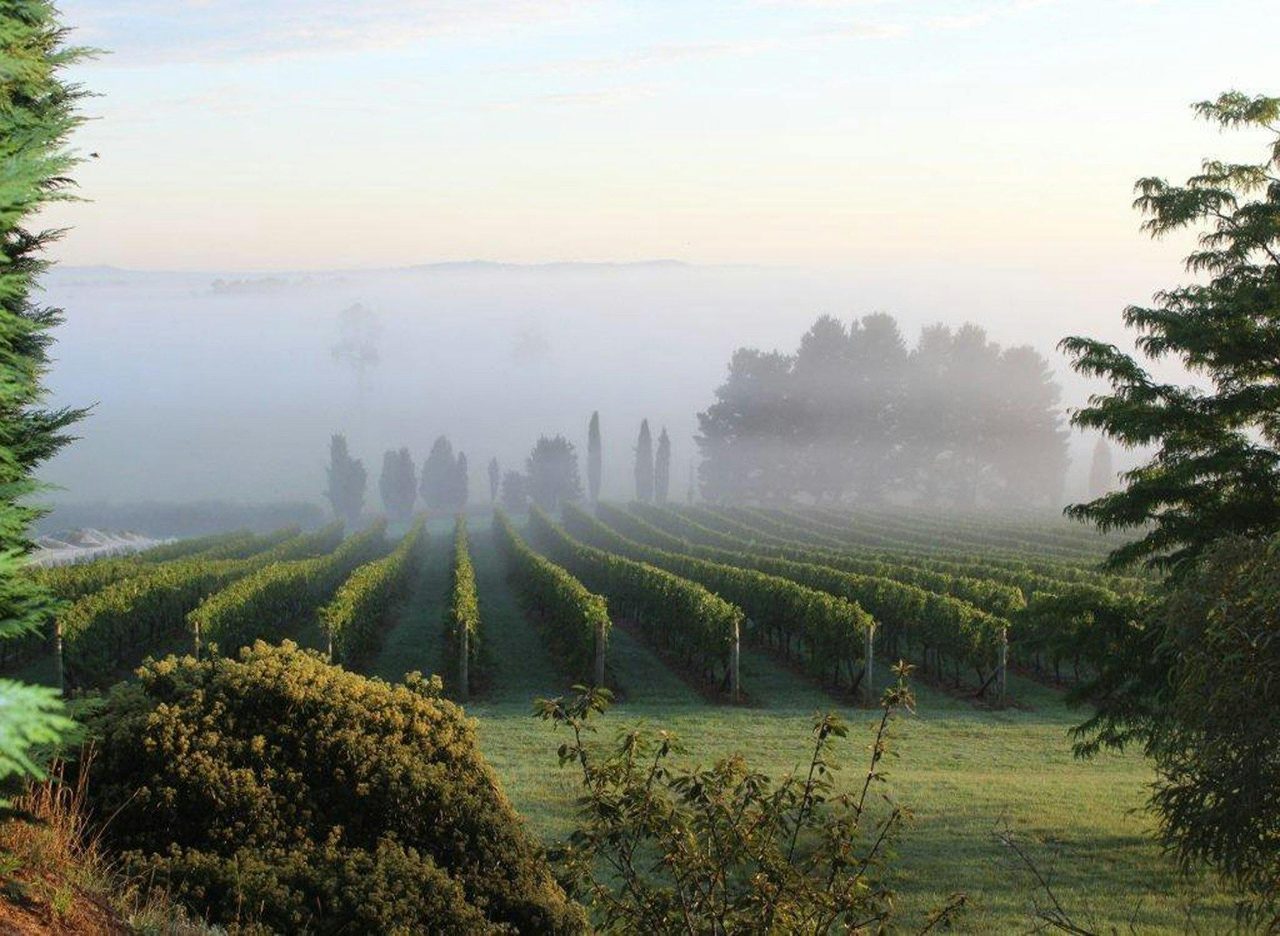 Cherry Tree Hill Vineyards
