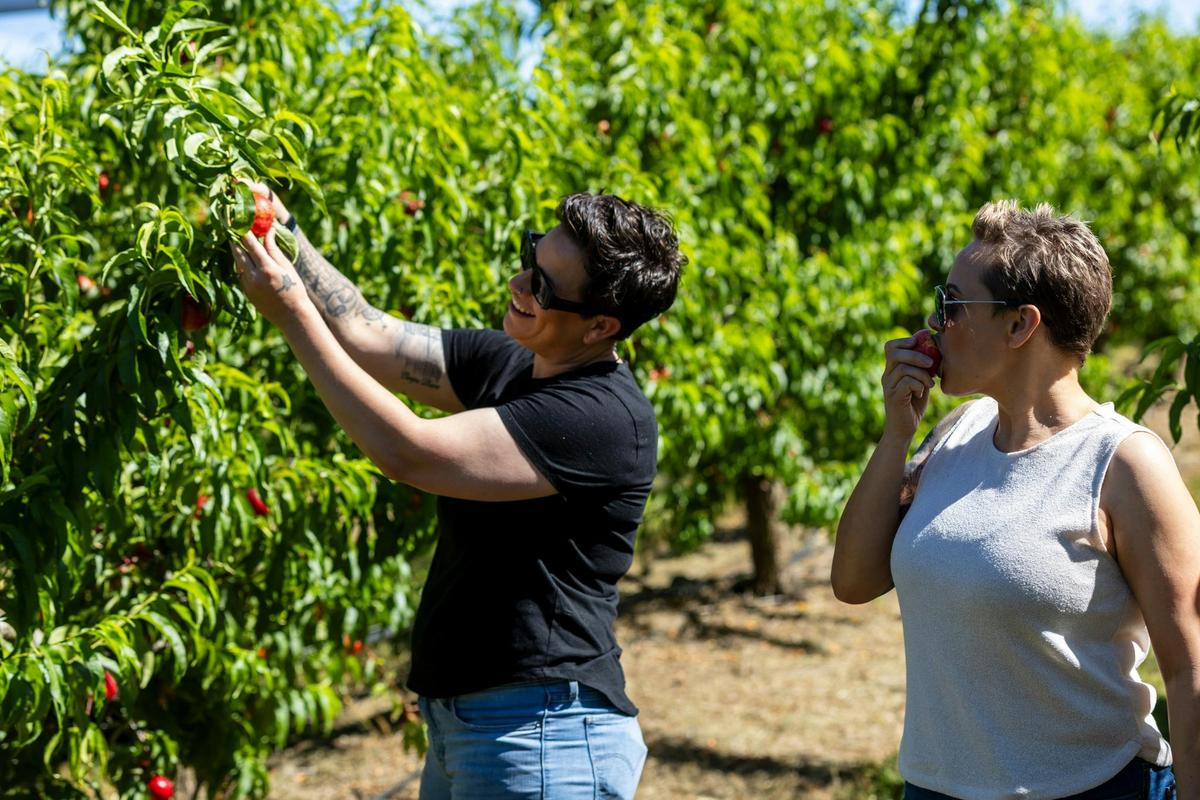 Fruit picking