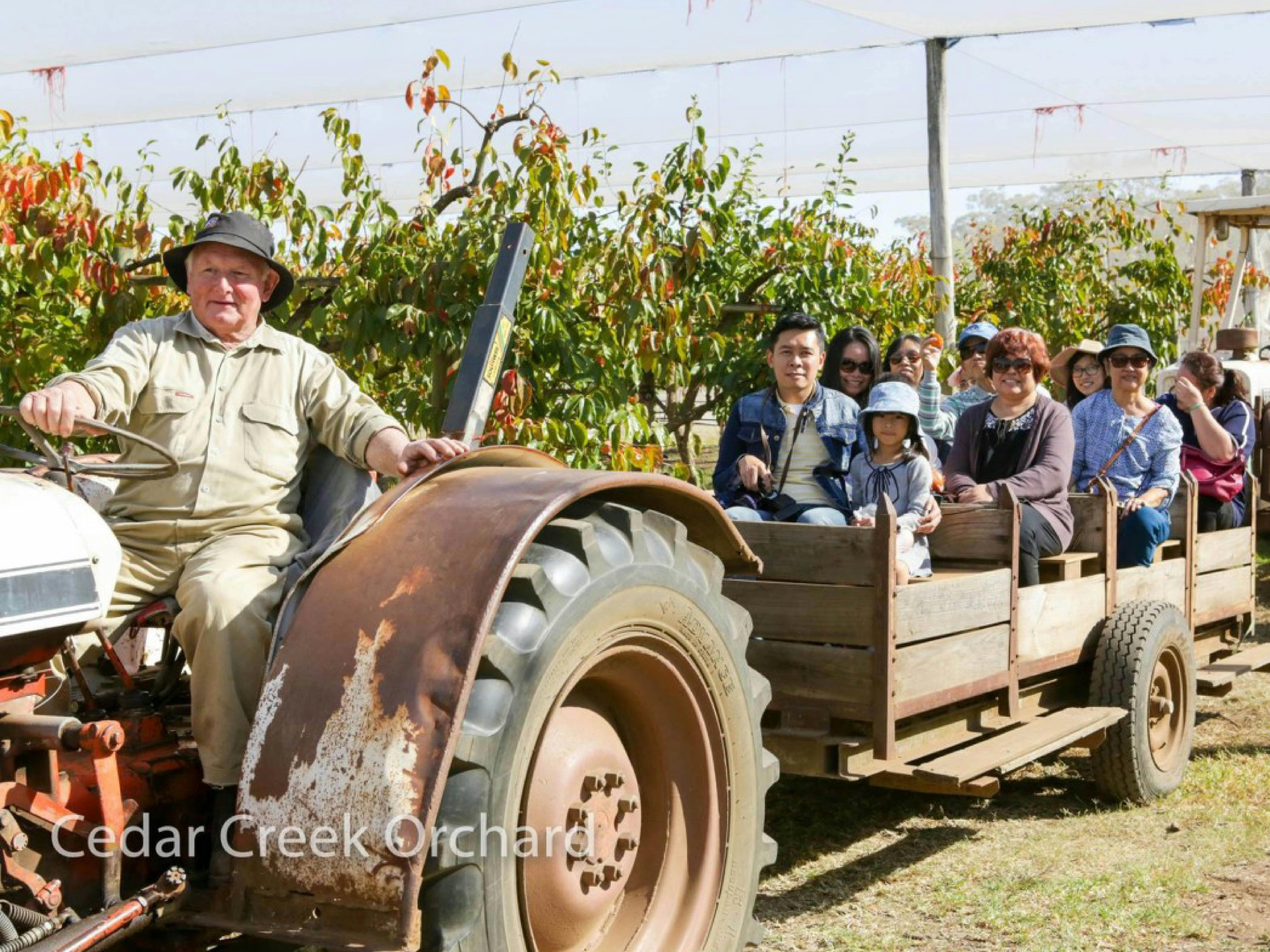 Tractor ride at Cedar Creek Orchard