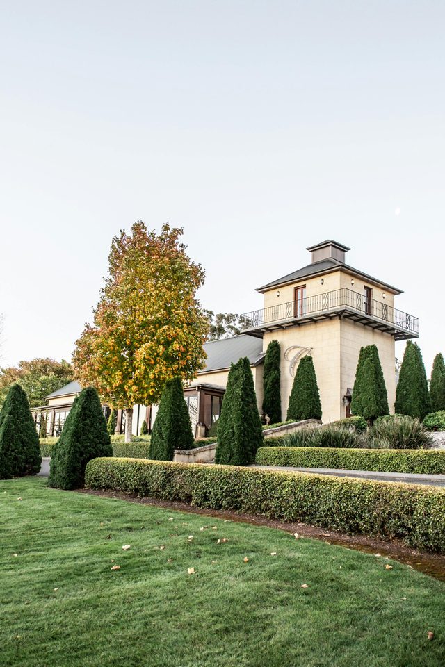 Centennial Vineyards