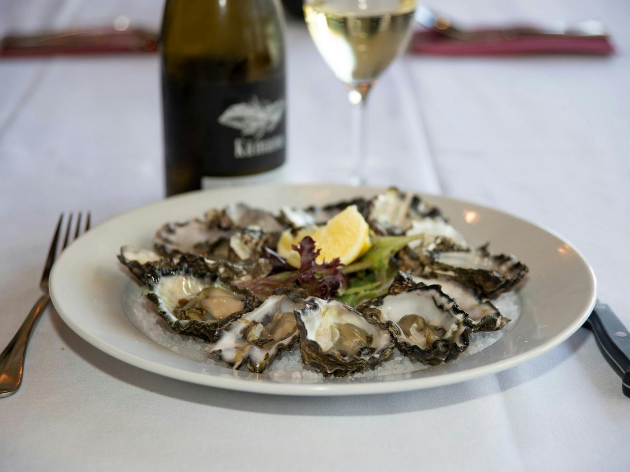 Oysters