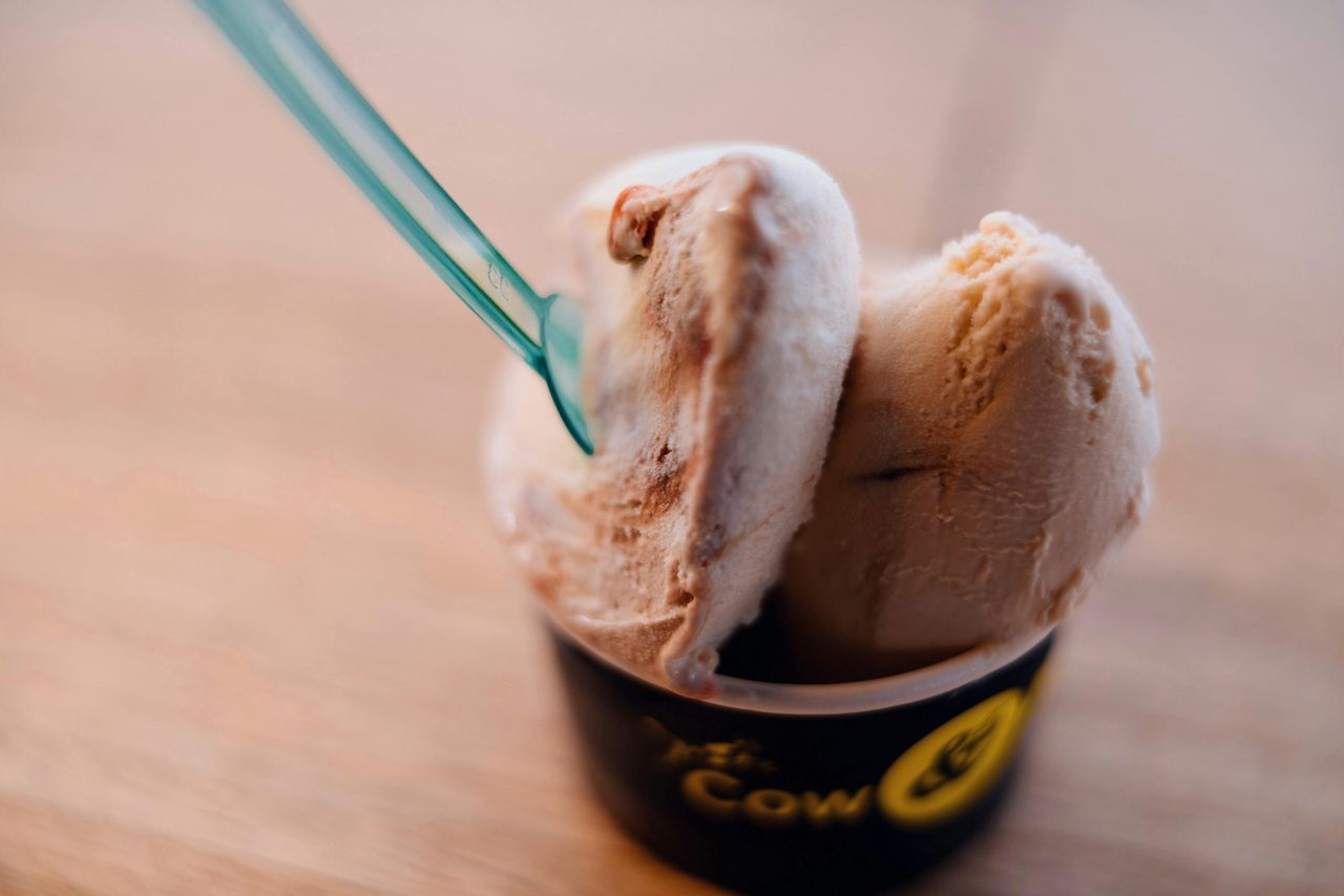 Cow and The Moon, Enmore