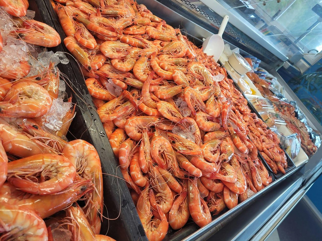 Prawns