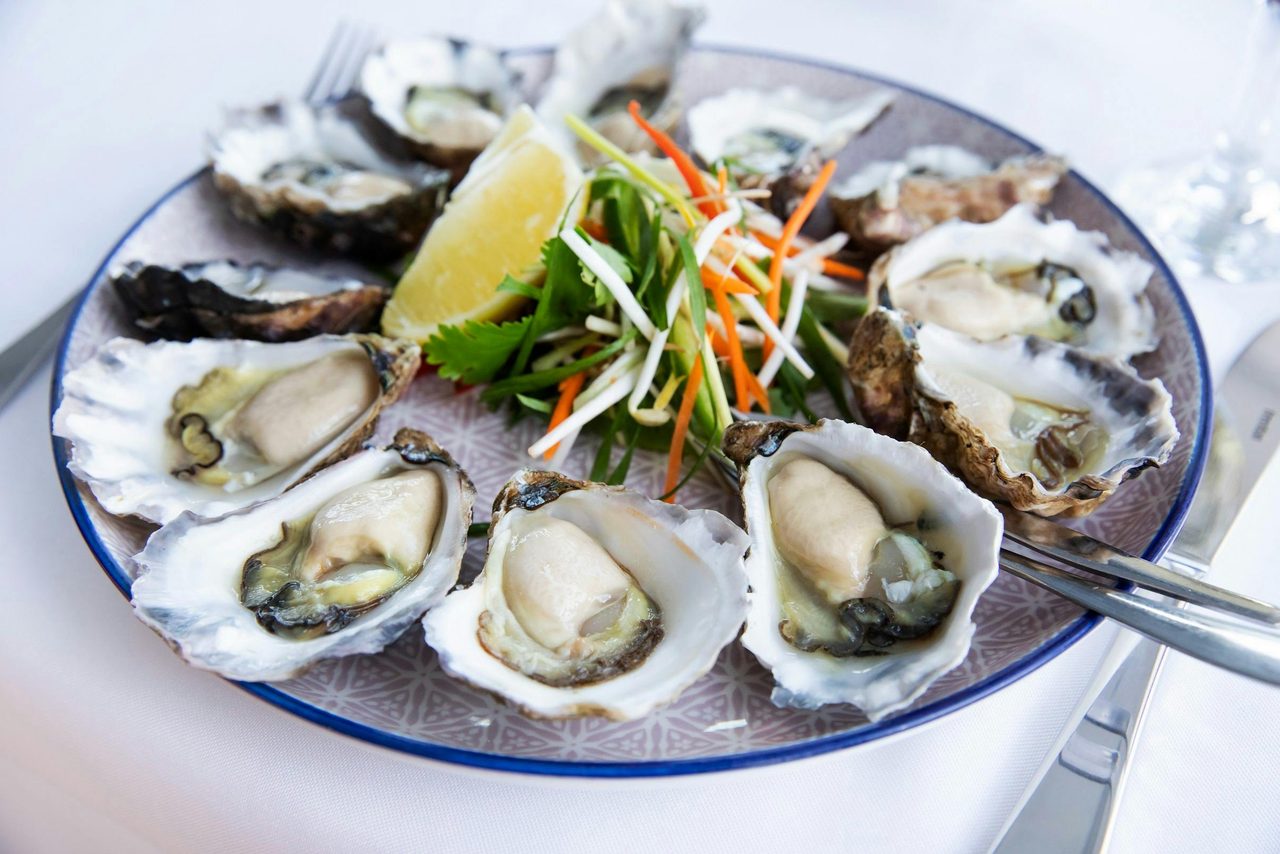 Oysters on Plate