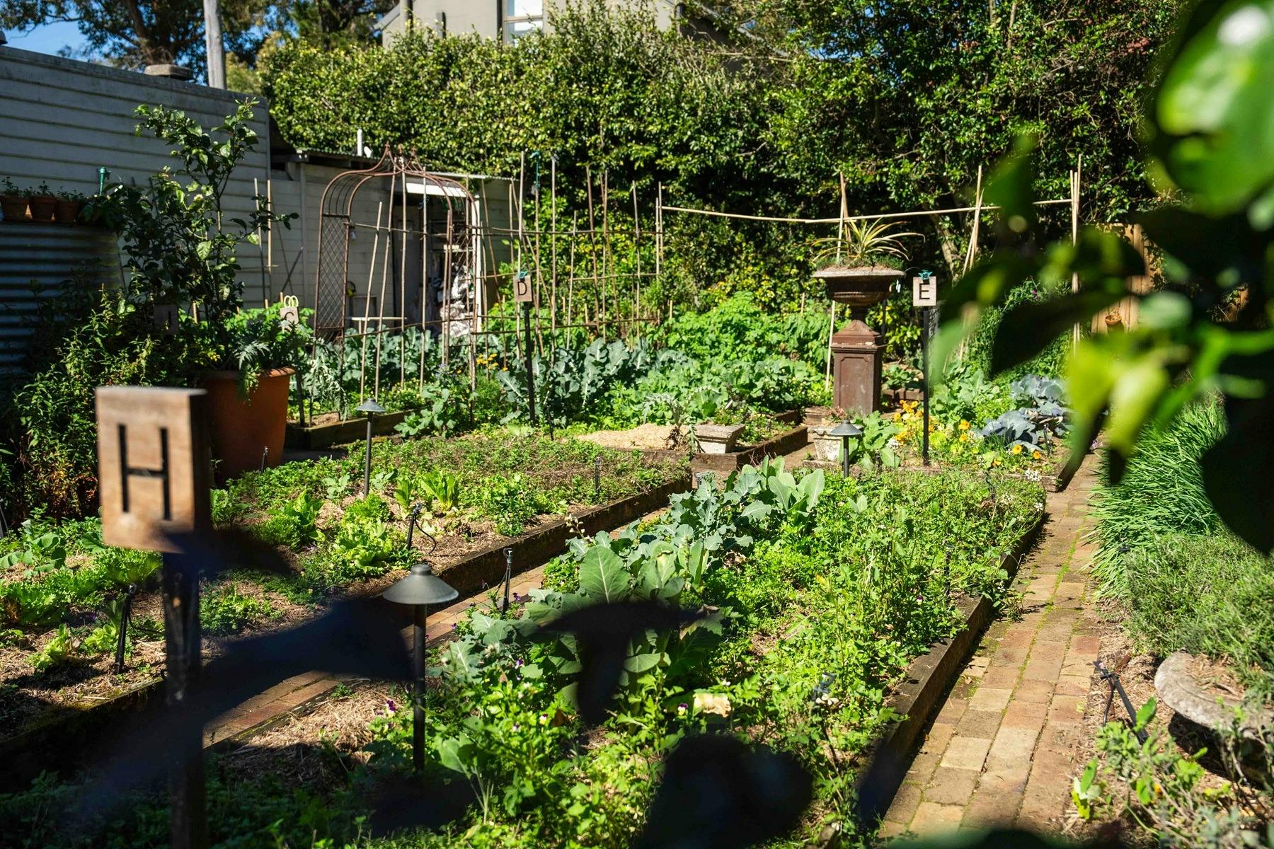 Long shot of outdoor garden