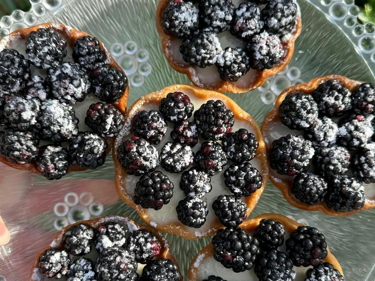 Blackberry tarts
