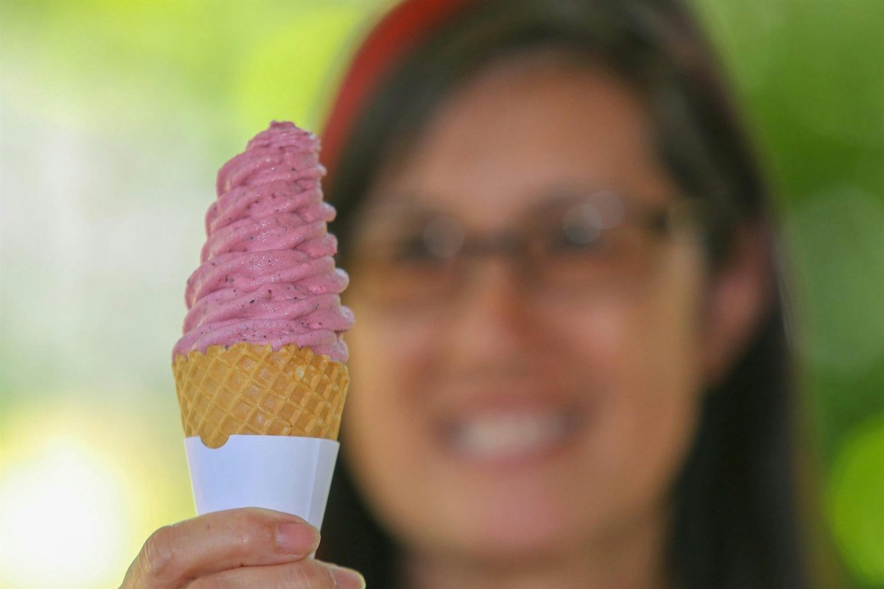 Berry Icecream at Clyde River Berry Farm