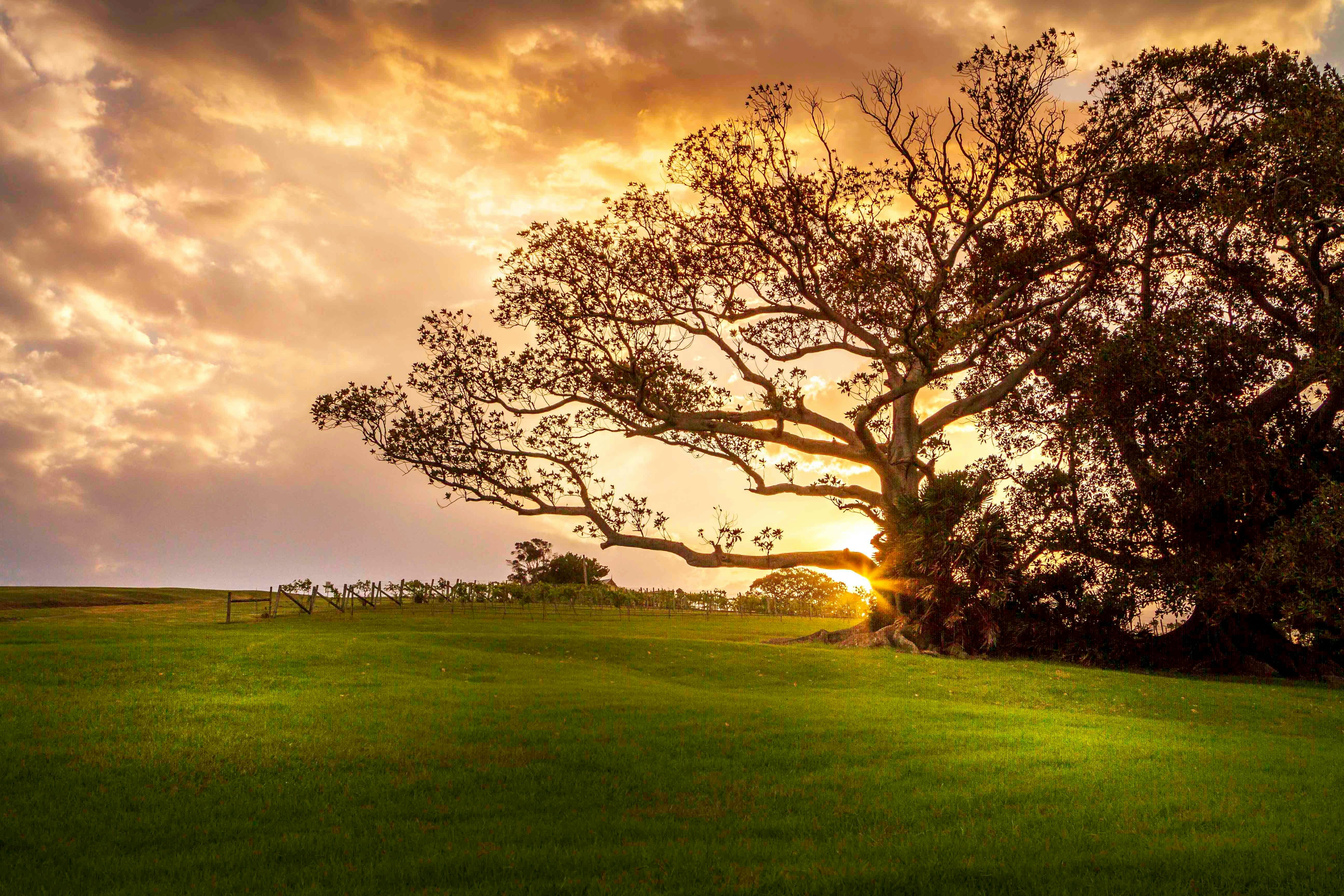 Crooked River Estate