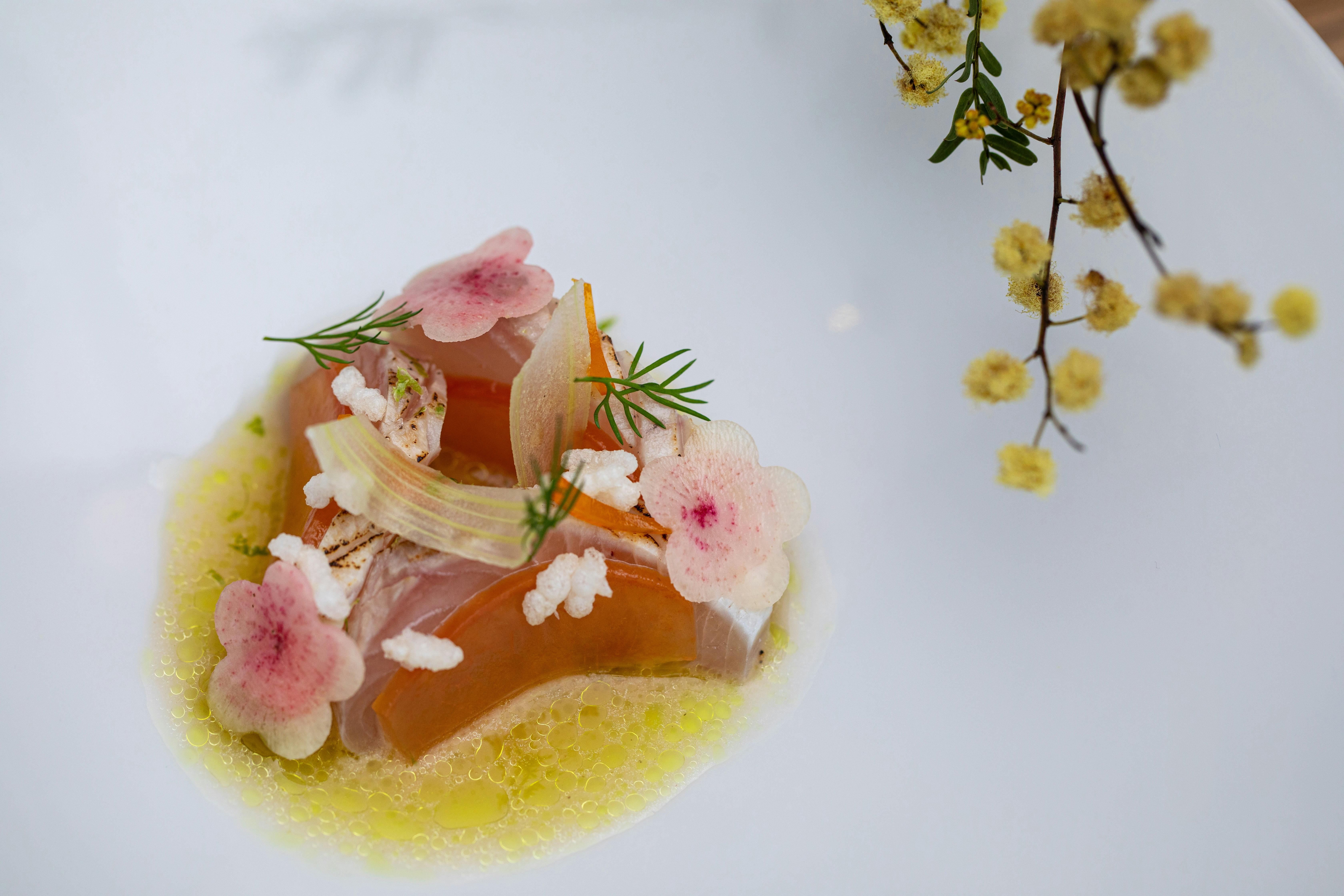 South Australia Hiramasa