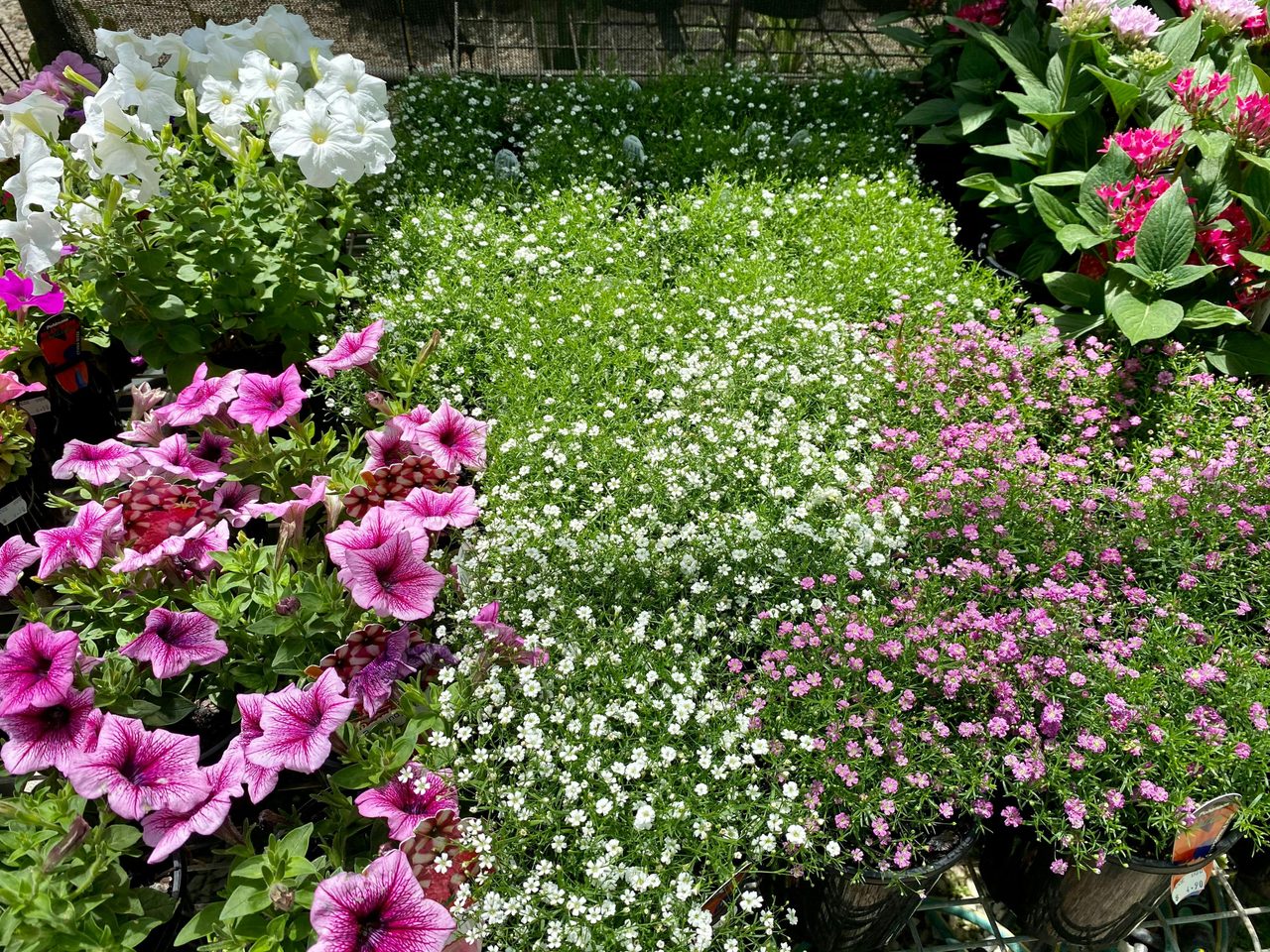 On-Site nursery for plants, pots and more