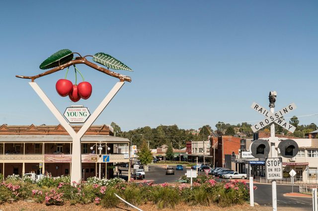 Big Cherries