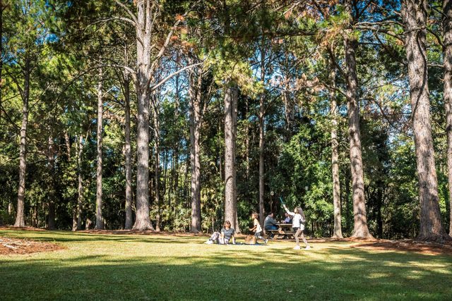 Birdwing Butterfly Walk