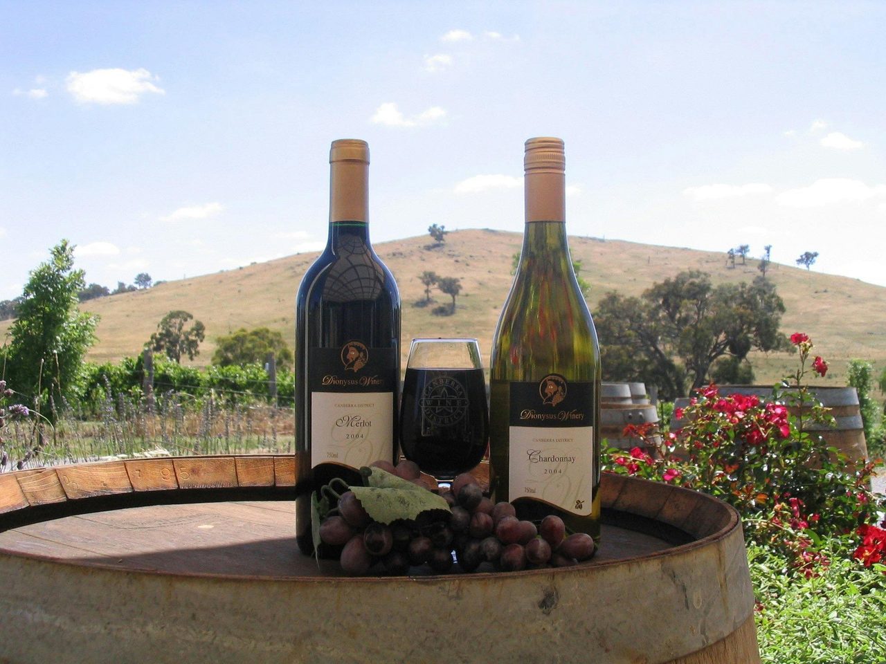 Great wines enjoyed in a serene picturesque environment