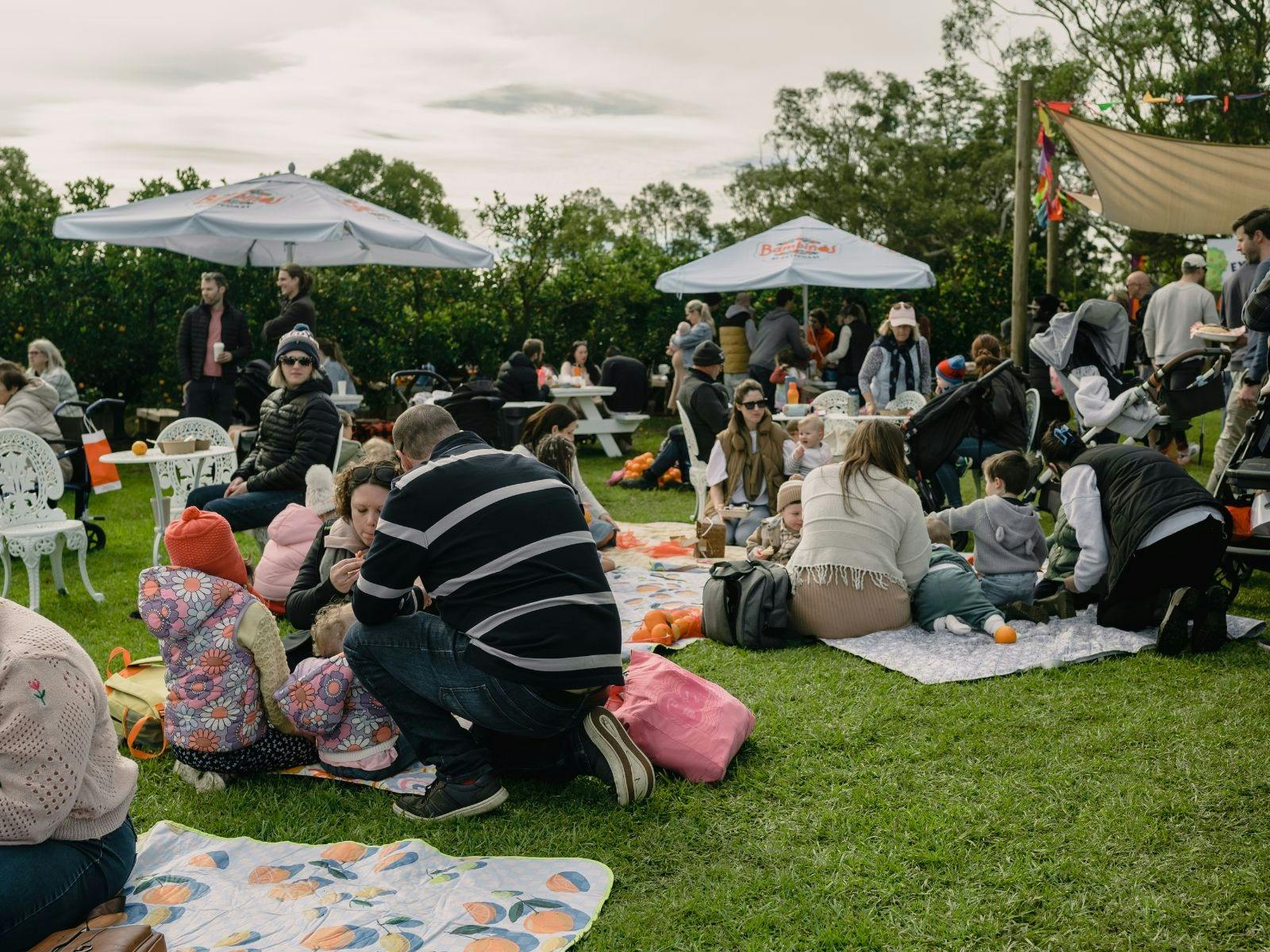 Groups and Families Picnic-ing at Bambinos Cafe on the Farm