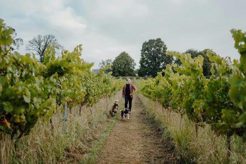 Dawning Day Winery and Distillery