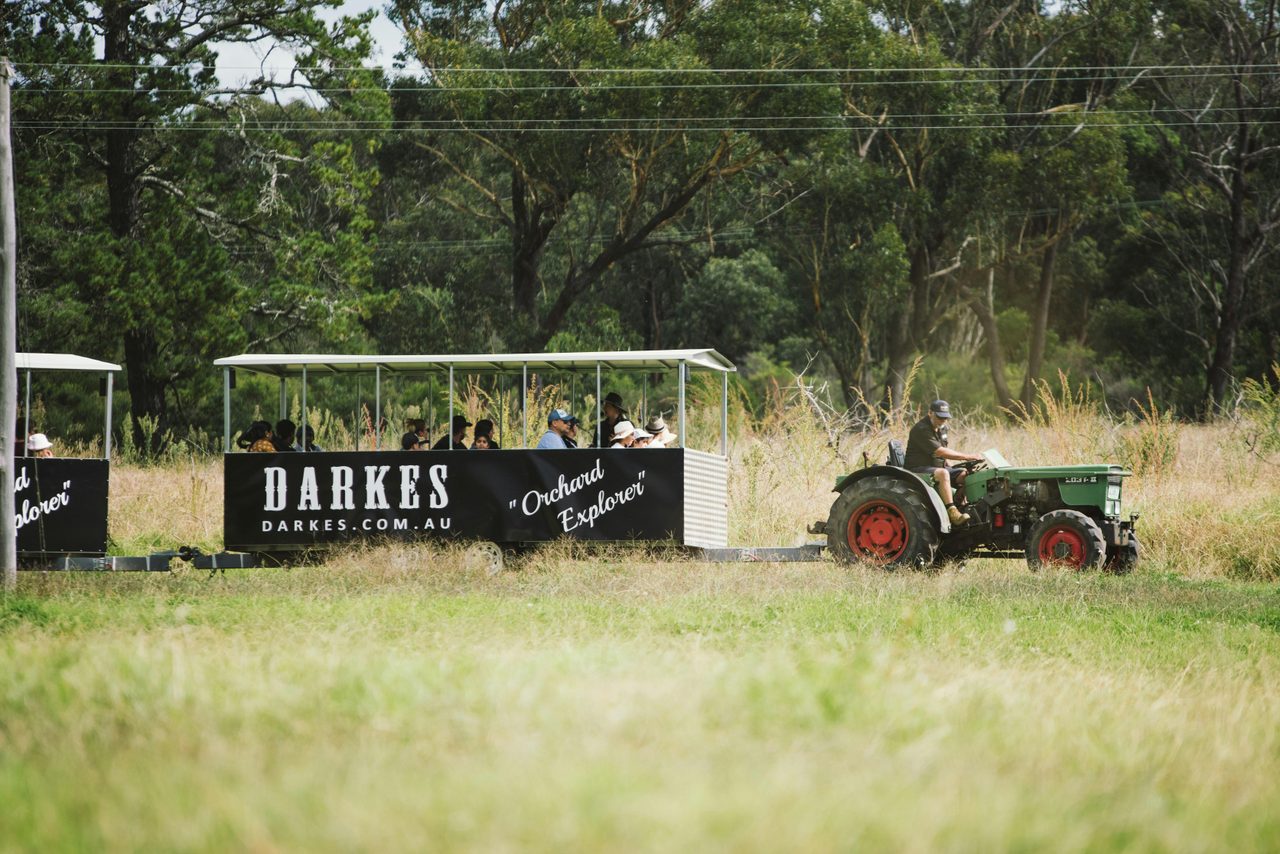 Darkes Glenbernie Orchard Tractor Train Ride