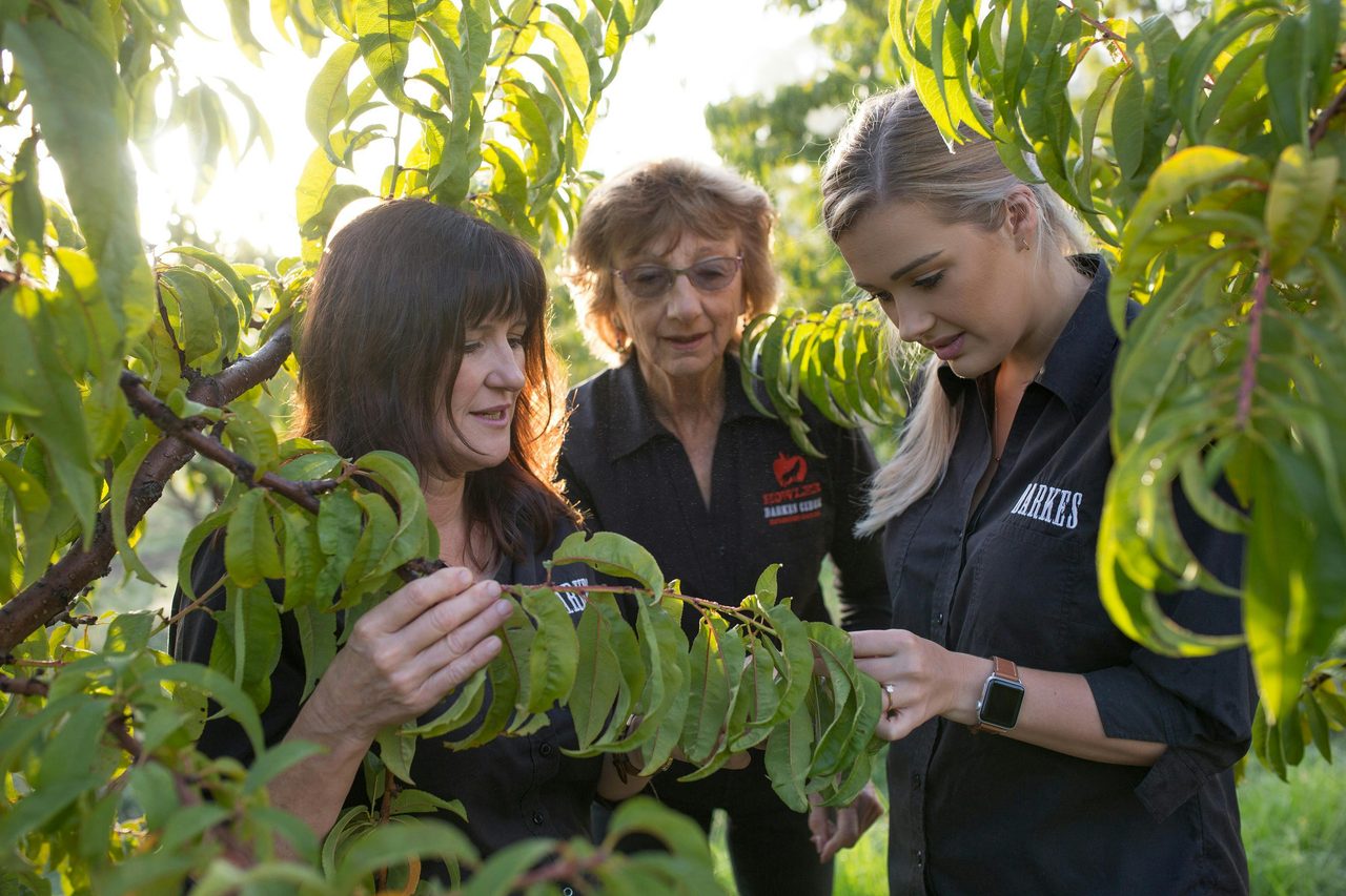 3 generations of Farm women checking the coming crop