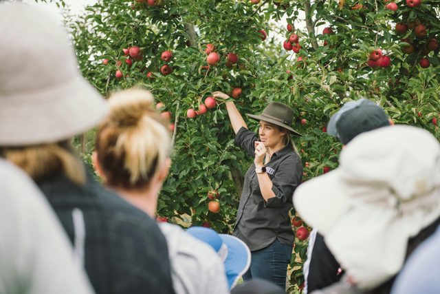 Darkes Glenbernie Orchard