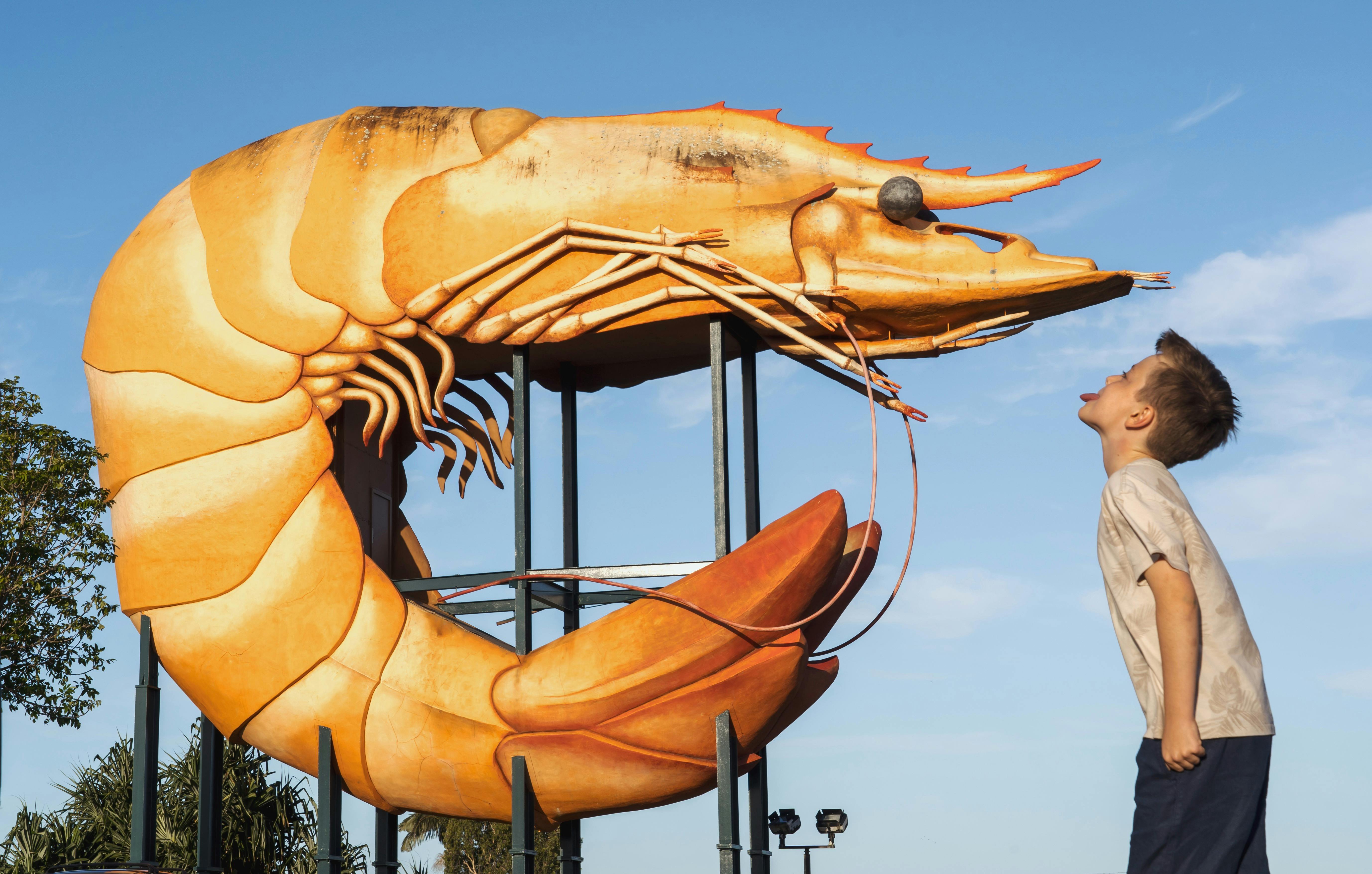 Big Prawn Ballina