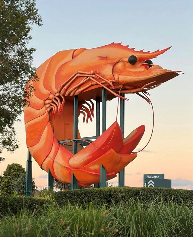 Big Prawn