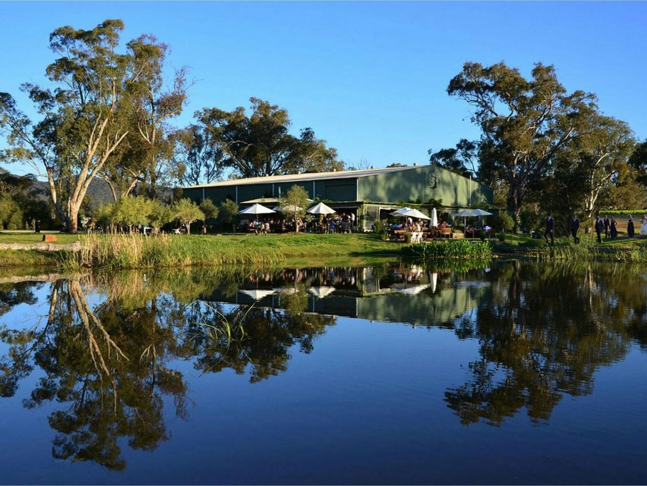 A view to the winery across the lake