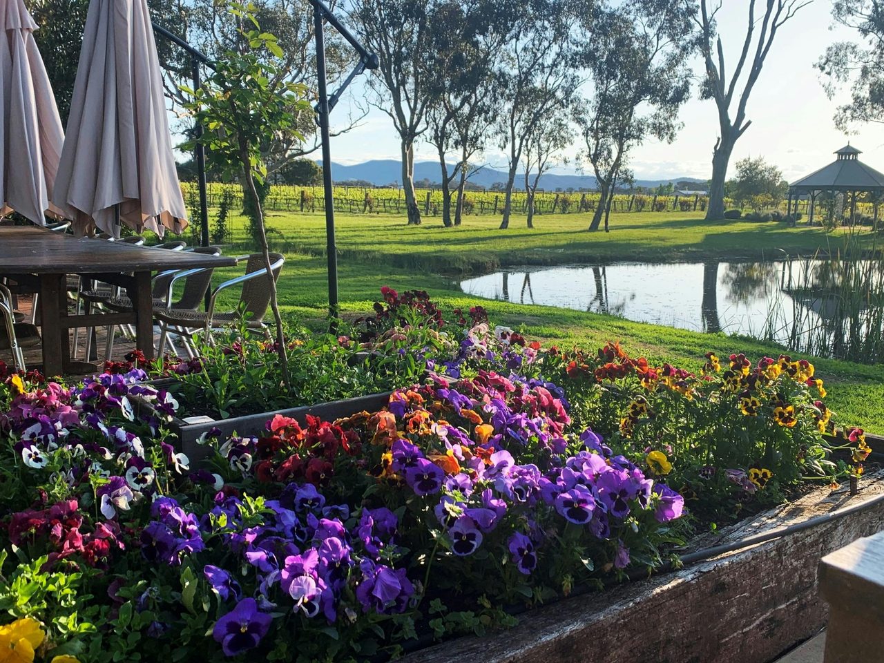Al fresco dining in Spring