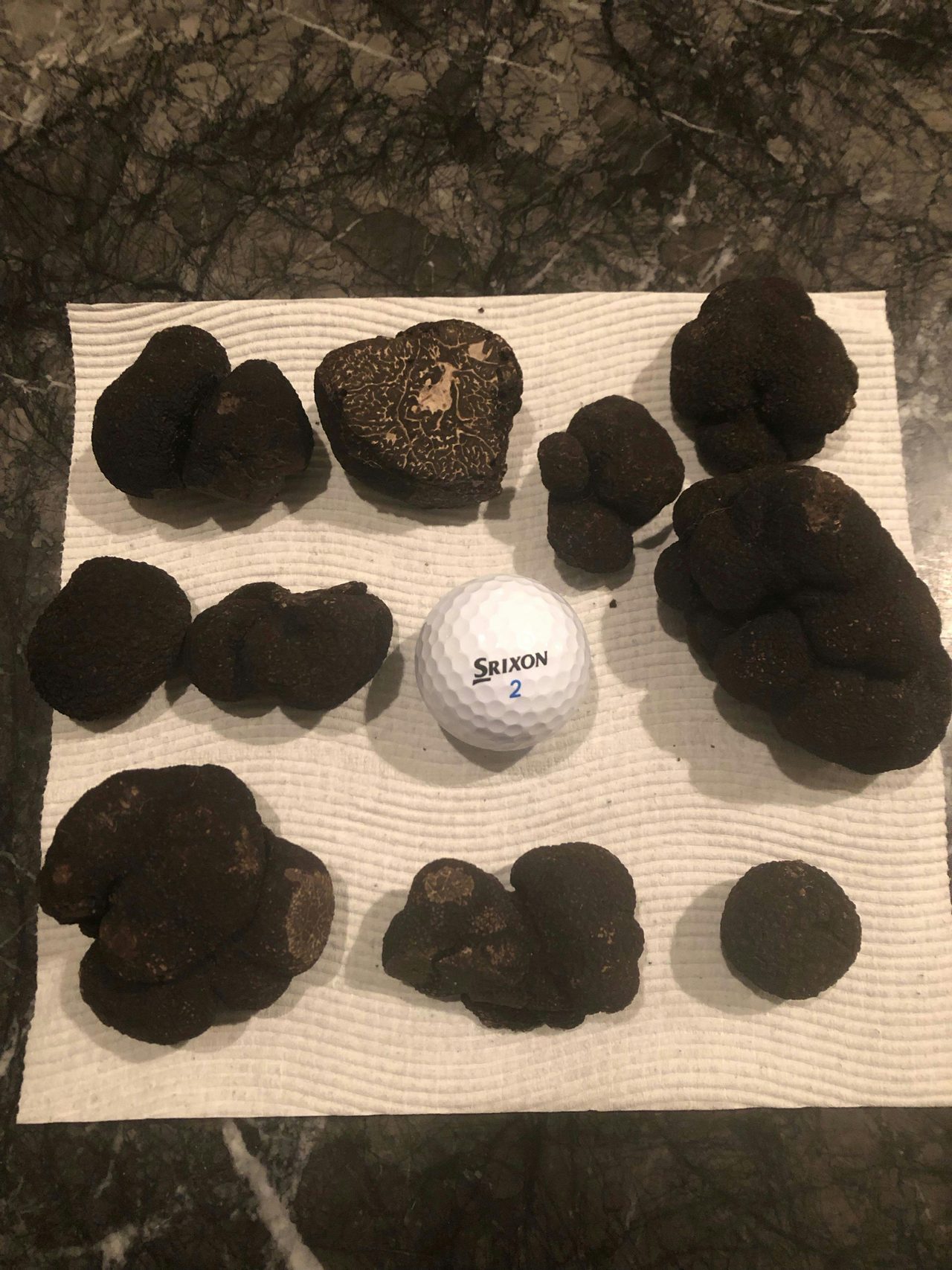 Truffle harvest
