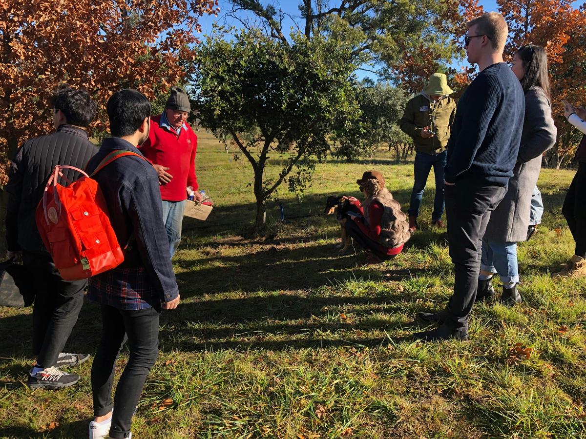 Searching for truffles